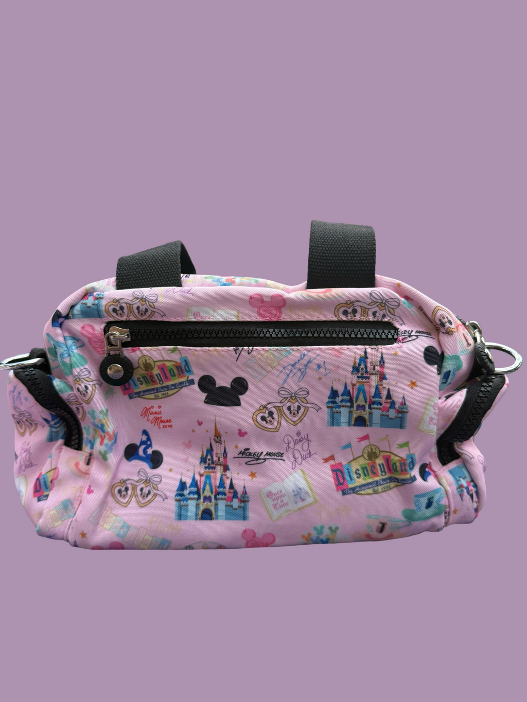 🏰 Once Upon a Park Mini Duffel